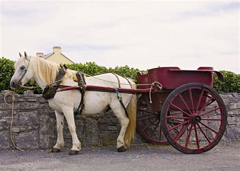 the horse and cart